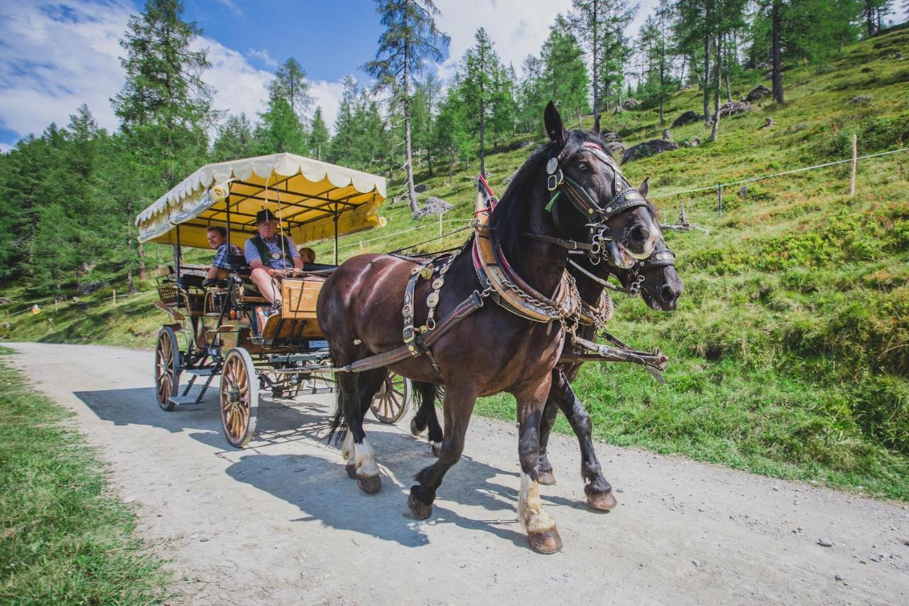 Muehlbacherhof Rennweg am Katschberg Ngoại thất bức ảnh